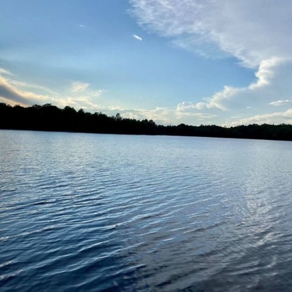 Meet your Posher, Matt - Picture 1 of 1